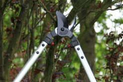 ARS LP40 Bypass Lopper -Garden Care Store ARSLP 40 g6 gallery large 76443.1707092320