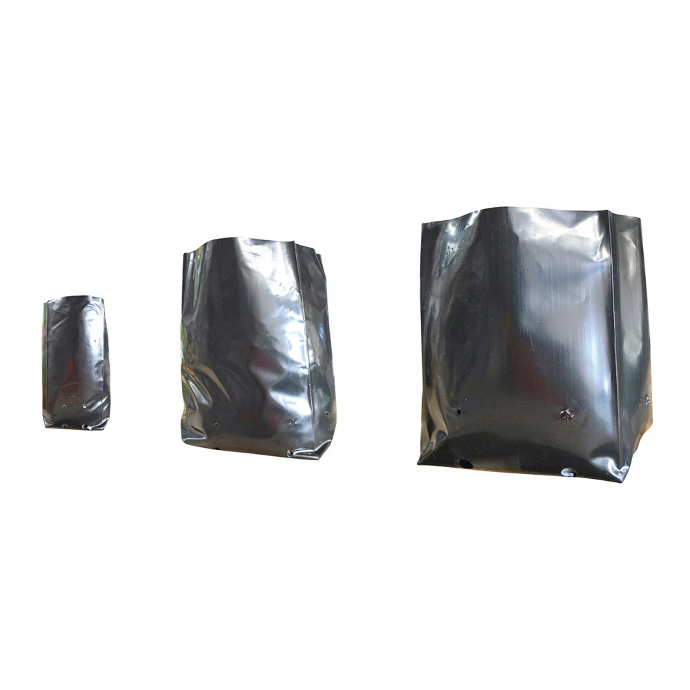 Polythene Plant Bag 220mmØ 1 Polythene Plant Bag 220mmØ