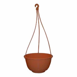 Grecian Hanging Basket Complete -Garden Care Store Grecian Hanging Basket Complete 200mm Rustic 36170.1649645104