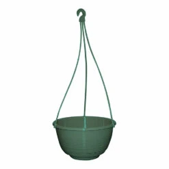 Grecian Hanging Basket Complete -Garden Care Store Grecian Hanging Basket Complete 250mm Jade Green 44516.1649645106