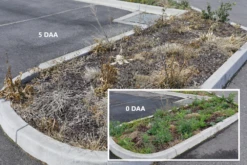 Weed Terminator & Soil Conditioner -Garden Care Store Open Spaces Before After 1 23656.1658712994