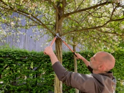 Bahco P16-60-F Professional 30mm Bypass Loppers With Steel Handle -Garden Care Store P16 60 F Professional 30mm Bypass Loppers with Steel Handle 4 14666.1707205330