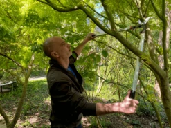 Bahco P280-SL-80 Professional 55mm Bypass Loppers With Long Lightweight Aluminium Handle -Garden Care Store P280 SL 80 Professional 55mm Bypass Loppers with Long Lightweight Aluminium Handle 6 89609.1707204882