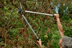 Bahco P173-SL-85 Professional 45mm Anvil Loppers With Lever Action And Aluminium Handle -Garden Care Store bahco p173 sl loppers 4 81463.1707202738