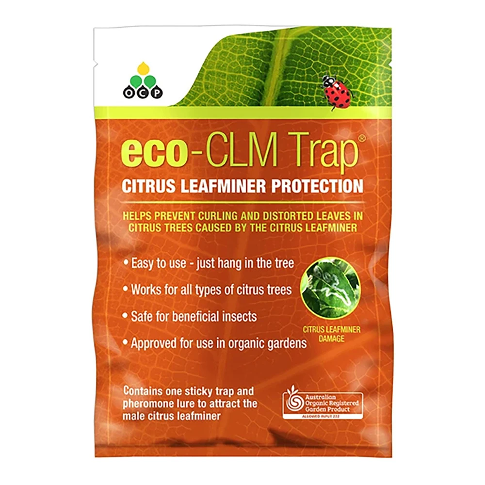 Eco CLM Citrus Leaf Miner Trap+Lure 2 Eco CLM Citrus Leaf Miner Trap+Lure - Image 2