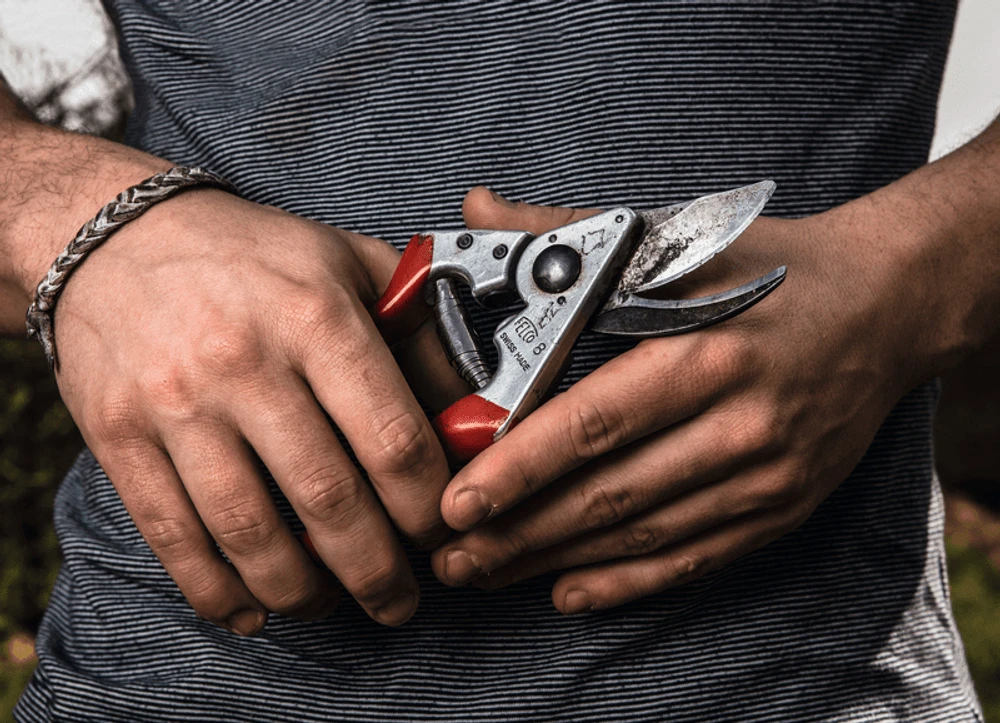 Felco 8 Secateurs 2 Felco 8 Secateurs - Image 2