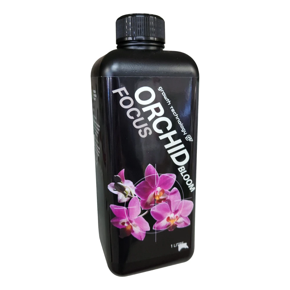 Orchid Focus Bloom 1 Orchid Focus Bloom