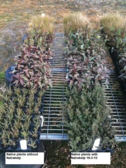 Natrakelp 18-3-10 -Garden Care Store native 18 3 10 97906.1662942632