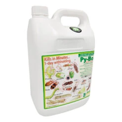 PyBo Natural Pyrethrum Insecticide 5 PyBo Natural Pyrethrum Insecticide -Garden Care Store py bo 5l 29050.1673488126
