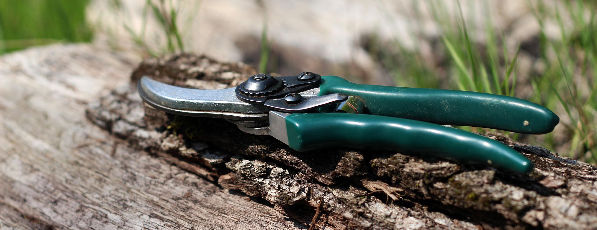 Garden Care Store -Garden Care Store shears 1336374 1920