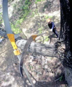 Silky Hayate Pole Saw Complete - Extendable 8 Silky Hayate Pole Saw Complete - Extendable -Garden Care Store silky hayate 3 56178.1684377373